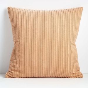 Crate and barrel pillow x 2